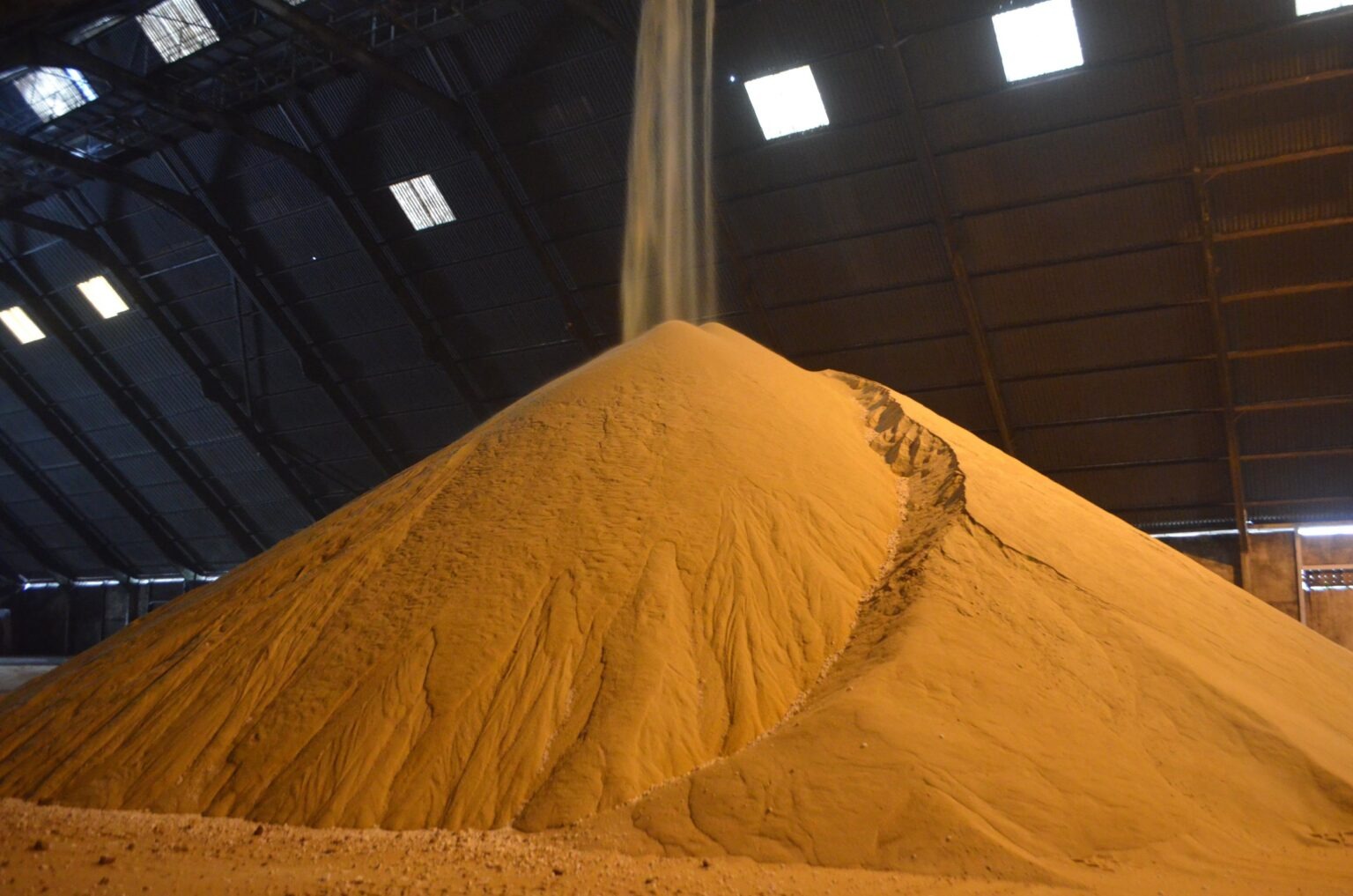 Raw sugar in a Brazilian warehouse